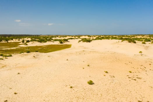 Aerial view of Trees and shrubs among the sand dunes. Desert landscape. Manalkaadu Sand Hills. Sri Lanka.