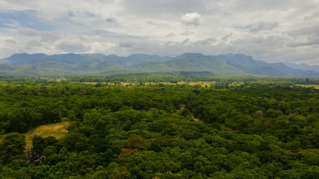 Aerial drone of Mountain slopes with rainforest and a mountain valley with farmland. Sri Lanka.