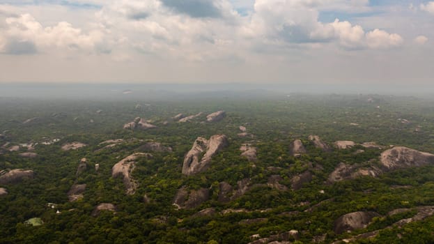 Top view of green forest with tropical vegetation and rock formations. National Park.Sri Lanka.