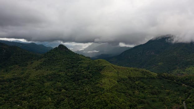 Mountains with rainforest and jungle in the mountainous province of Sri Lanka.