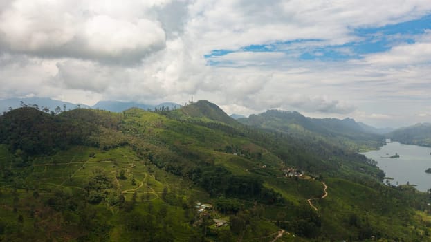 Aerial view of lake among the hills with tea plantations in the mountains. Maskeliya, Castlereigh, Sri Lanka.