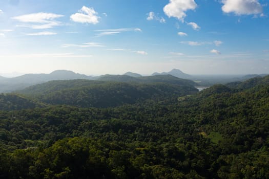 The slopes of the mountains covered with rainforest in the morning mist. Sri Lanka.