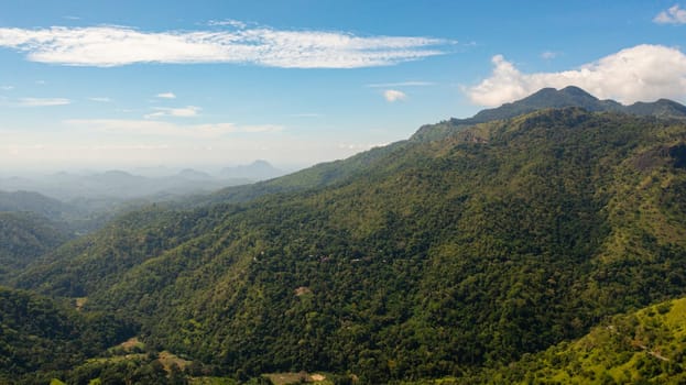Green rainforest and jungle in the mountains of Sri Lanka view from above.