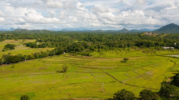 Aerial drone of rice fields and agricultural land in the countryside. Sri Lanka.