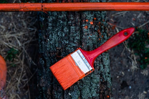 Paint brushes on the stump.