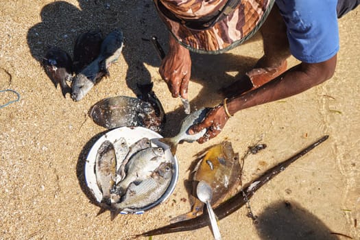 Local Malagasy fisherman cleaning freshly caught fishes on the beach, detail on hands and knife, plate with fresh catch near.