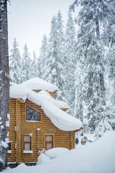 Wooden houses covered by snow in the forest
