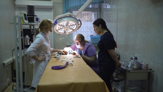 Dog is having a teeth clean on the surgical table. Sanitation of the oral cavity in dogs. Dentist vet treated teeth, the animal is under anesthesia in a veterinary clinic. Veterinary stomatology, cleaning teeth from plaque and stone.