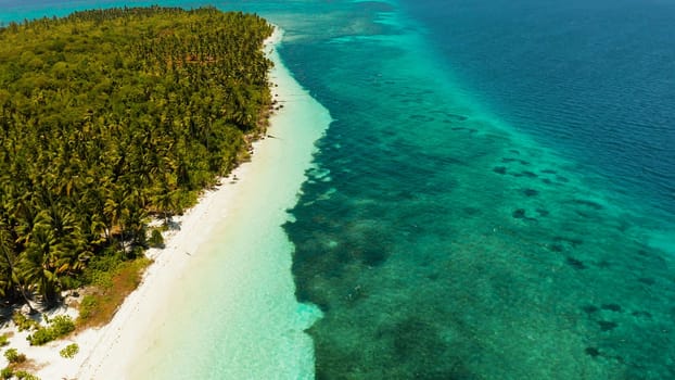 Tropical island with sandy beach by atoll with coral reef and blue sea, aerial view. Patongong Island with sandy beach. Summer and travel vacation concept.