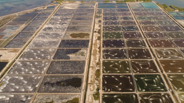 shrimp farm, prawn farming with with aerator pump oxygenation water near ocean. aerial view fish farm with ponds growing fish and shrimp and other seafood. Fish hatchery pond aerial view aquaculture business exported international market. java, indonesia