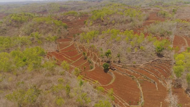aerial view agricultural landscape in Asia with rice fields and farmland among hills. farmland prepared planting crops. Java Indonesia