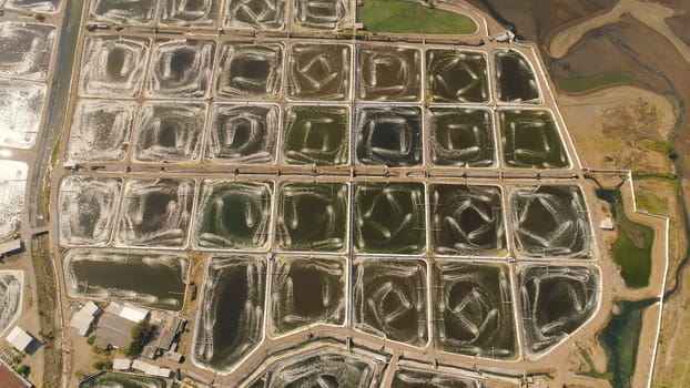 shrimp farm, prawn farming with with aerator pump oxygenation water near ocean. aerial view fish farm with ponds growing fish and shrimp and other seafood. Fish hatchery pond aerial view aquaculture business exported international market. java, indonesia