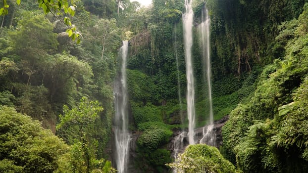 waterfall in green rainforest. triple tropical waterfall Sekumpul in mountain jungle. Bali,Indonesia. Travel concept. Aerial footage.