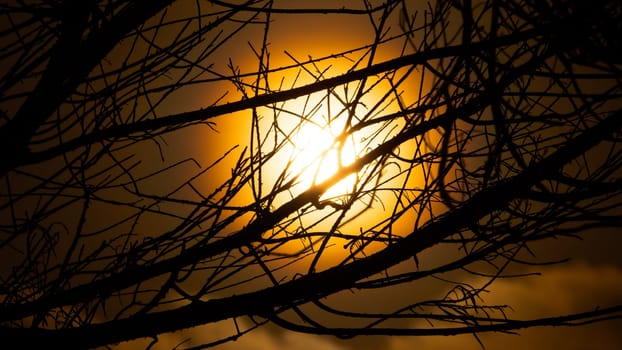 sun through tree branches. Sunset, sunrise with clouds. orange skies and sun