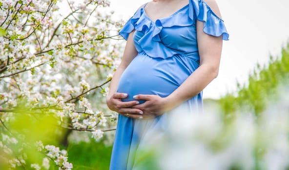 Pregnant woman in the garden of flowering apple trees. Selective focus. Nature.