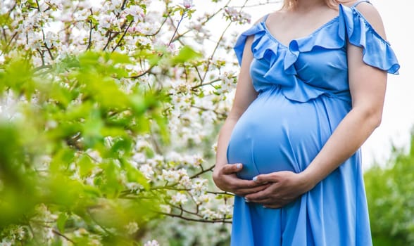 Pregnant woman in the garden of flowering apple trees. Selective focus. Nature.