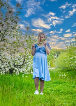 Pregnant woman in the garden of flowering apple trees. Selective focus. Nature.