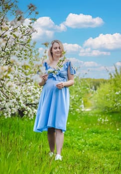 Pregnant woman in the garden of flowering apple trees. Selective focus. Nature.