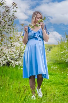 Pregnant woman in the garden of flowering apple trees. Selective focus. Nature.