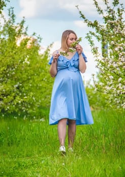 Pregnant woman in the garden of flowering apple trees. Selective focus. Nature.