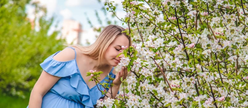 Pregnant woman in the garden of flowering apple trees. Selective focus. Nature.