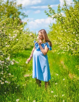 Pregnant woman in the garden of flowering apple trees. Selective focus. Nature.