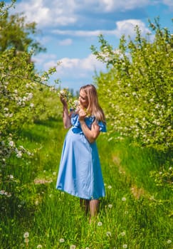 Pregnant woman in the garden of flowering apple trees. Selective focus. Nature.