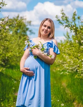 Pregnant woman in the garden of flowering apple trees. Selective focus. Nature.