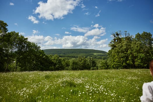 summer landscape meadows with daisies on a sunny day. High quality photo