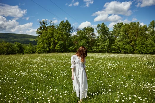 a woman in a long light dress stands in a chamomile field on a sunny day. High quality photo