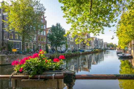 Netherlands. Sunny day on the Amsterdam Canal. Boats at the pier, typical Dutch buildings and bicycles on the quay. Bright flowers on the fence