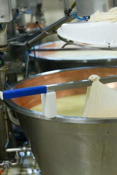 stiring and heating organic milk poured in copper cauldrons, making parmigiano reggiano cheese in chessemaking facility traditional italian recipe