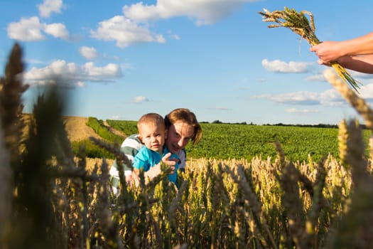 A family with a dad, a teenager and a small child are walking carefree and fun in a field with wheat. It's time to harvest. The food crisis in the world. A field for harvesting bread.