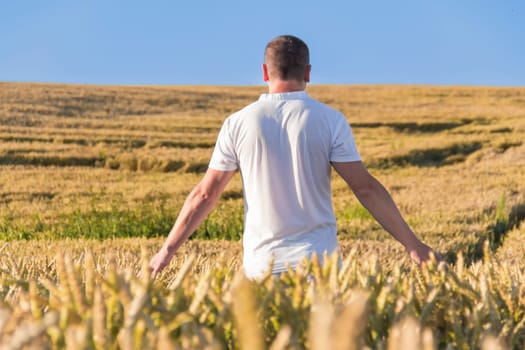 A man harvests a grain crop and walks carefree and fun in a field with wheat. It's time to harvest. The food crisis in the world. A field for harvesting bread.