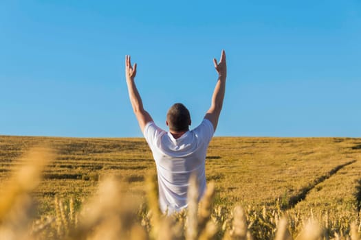 A man in a white T-shirt has raised his hands high to the sky and is harvesting grain and walking carelessly and cheerfully through a field with wheat. The food crisis in the world