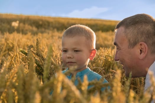 Dad and his little son are having fun walking in a field with ripe wheat. Grain for making bread. the concept of economic crisis and hunger