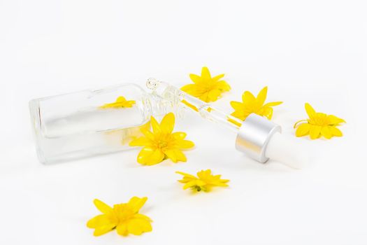 A bottle with a pipette serum on a white background surrounded by yellow spring flowers
