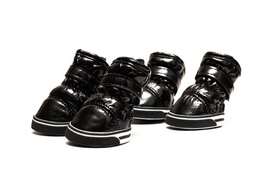 Black shoes for a dog isolated on a white background