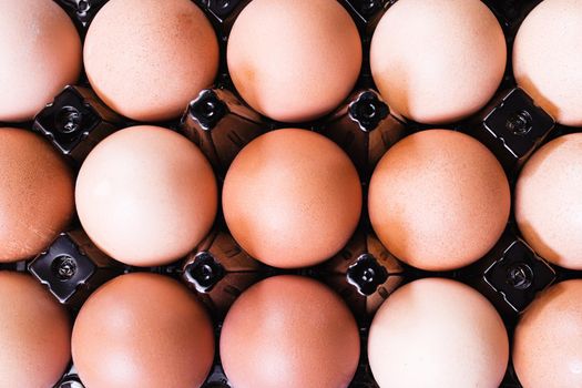 Many chicken eggs in a box top view