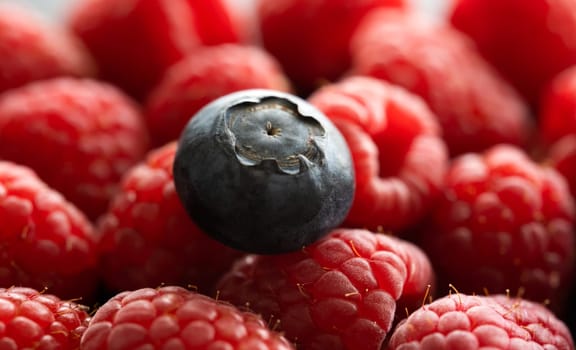 blueberry on a raspberries fresh harvest, macro shot