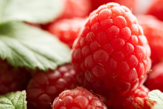 Fresh red raspberry macro shot, close up view