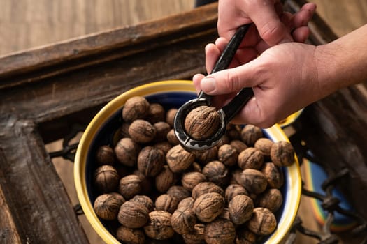 Hand holding walnuts and nutcracker and crack kemels. Deicious nuts for vegetarian heathy diet