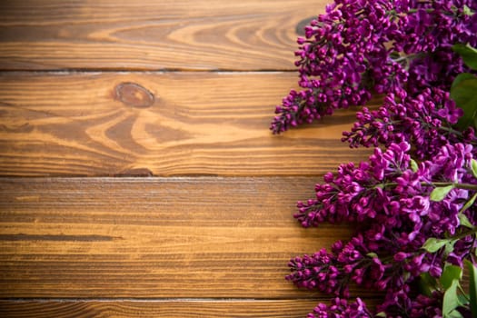 wooden background with branches of blooming beautiful lilac, empty space for text.