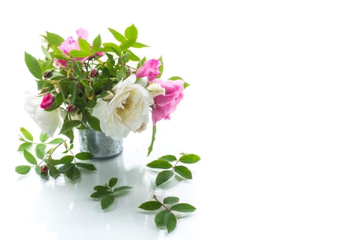 Small bouquet of beautiful summer pink and white roses, isolated on white background.