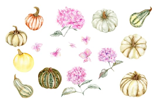 Fall set with pink hydrangea and pumpkins. For cards, backgrounds. Watercolor illustration for scrapbooking. Perfect for wedding invitation.