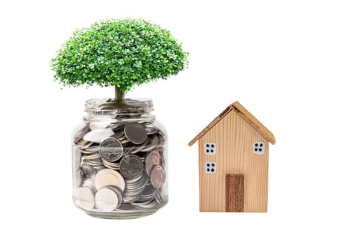 Tree plumule leaf on save money coins with wodden house, Business finance saving banking investment concept.