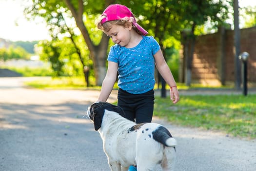 A child plays with a small dog in the park. Selective focus. Nature.