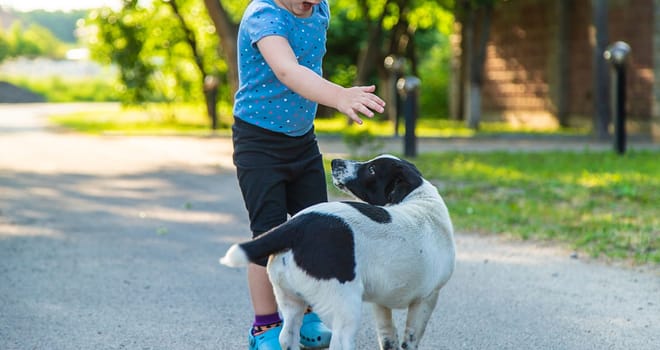 A child plays with a small dog in the park. Selective focus. Nature.