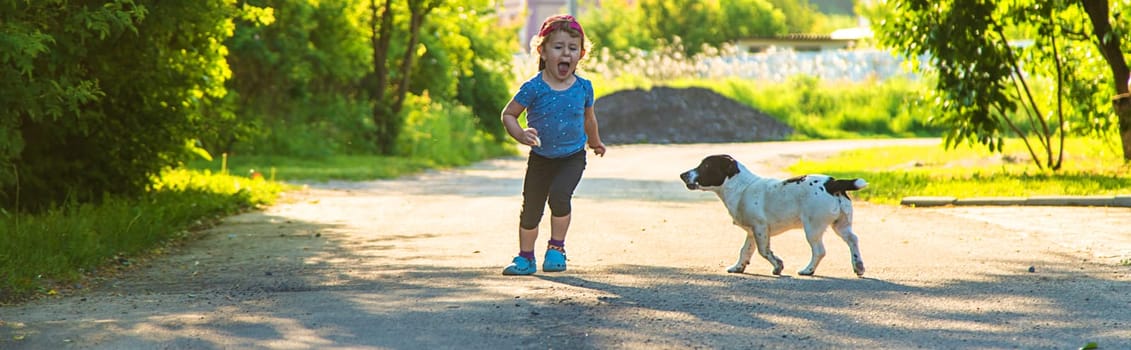 A child plays with a small dog in the park. Selective focus. Nature.