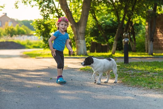 A child plays with a small dog in the park. Selective focus. Nature.